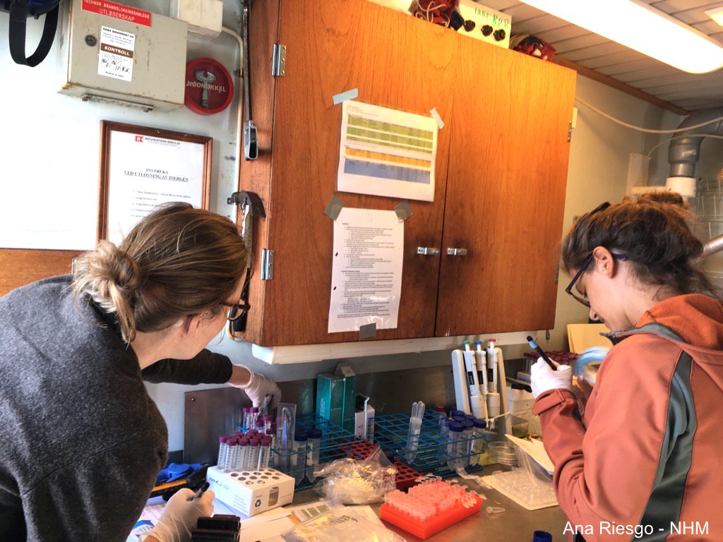 Researchers setting up the lab before sampling deep-sea Porifera for the SponGES EU project