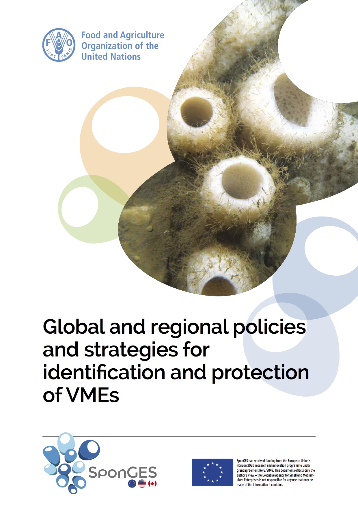 SponGES FAO Policy Vulnerable Marine Ecosystems