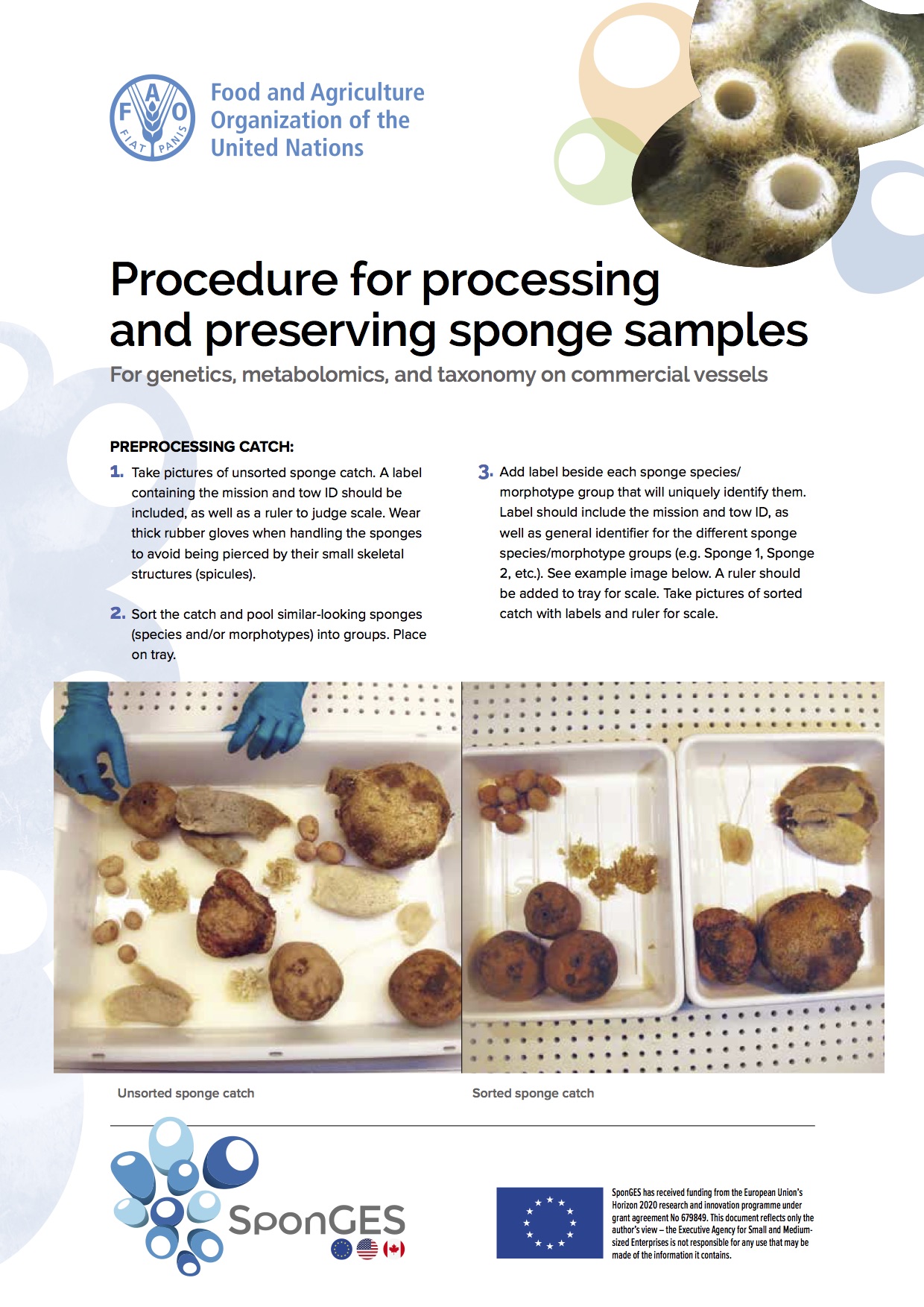SponGES FAO Processing Preserving Sponges