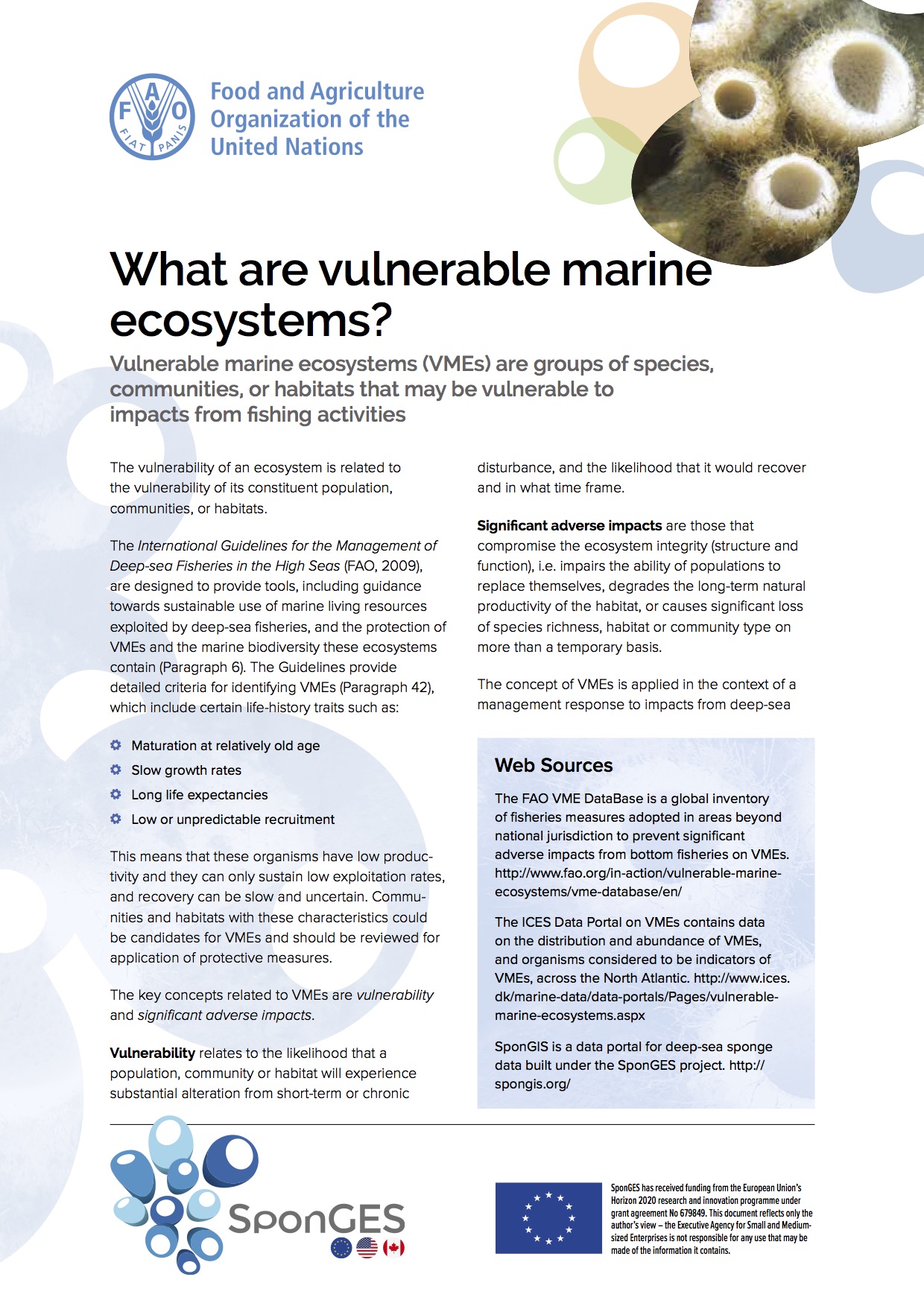 SponGES FAO Vulnerable Marine Ecosystems