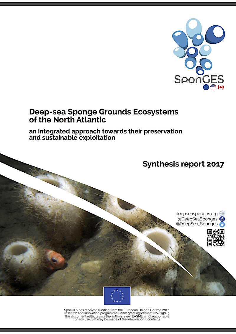 SponGES synthesis report 2017