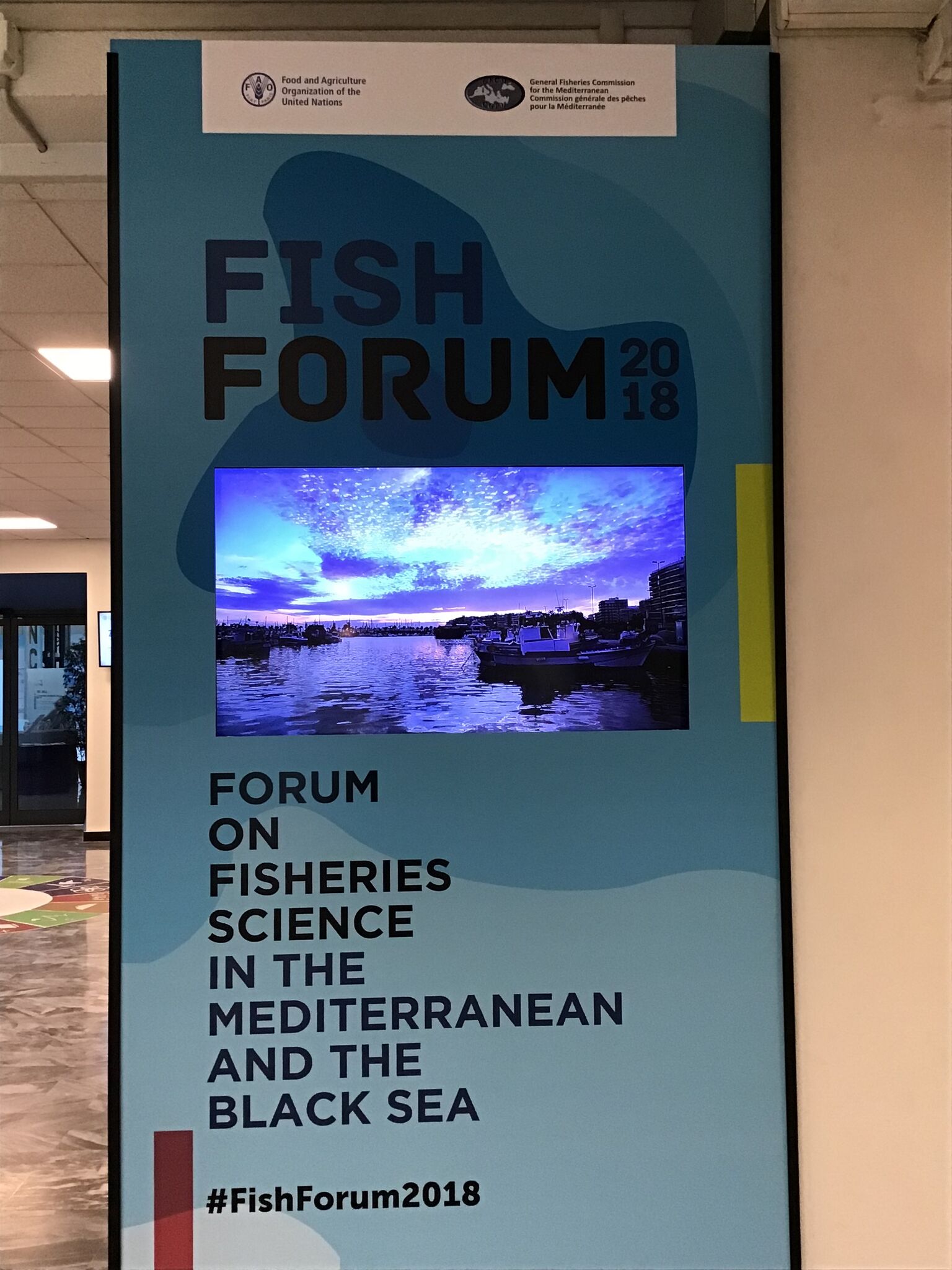 FishForum 2018, SponGES