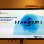 FishForum 2018, SponGES