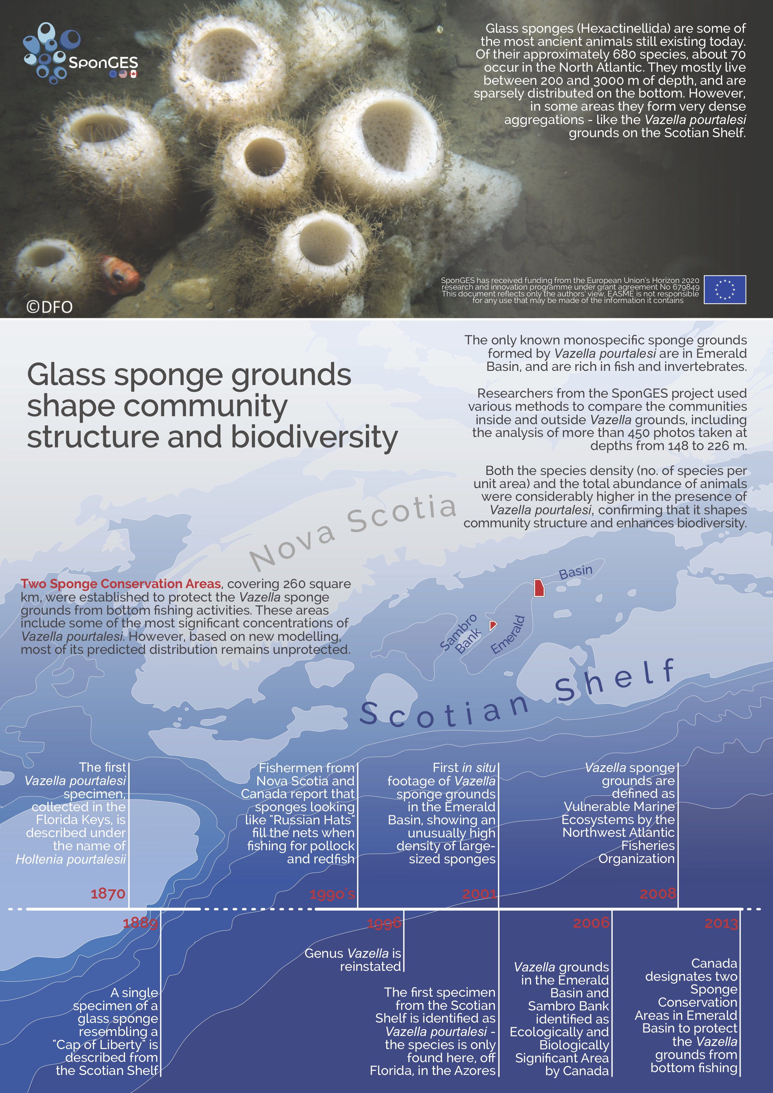 SponGES infographic deep sea