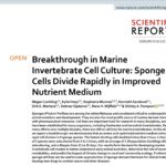 Abstract of the paper Breakthrough in marine invertebrate cell culture: Sponge cells divide rapidly in improvednutrient medium