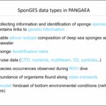 Slide from SponGES WP10 at final meeting