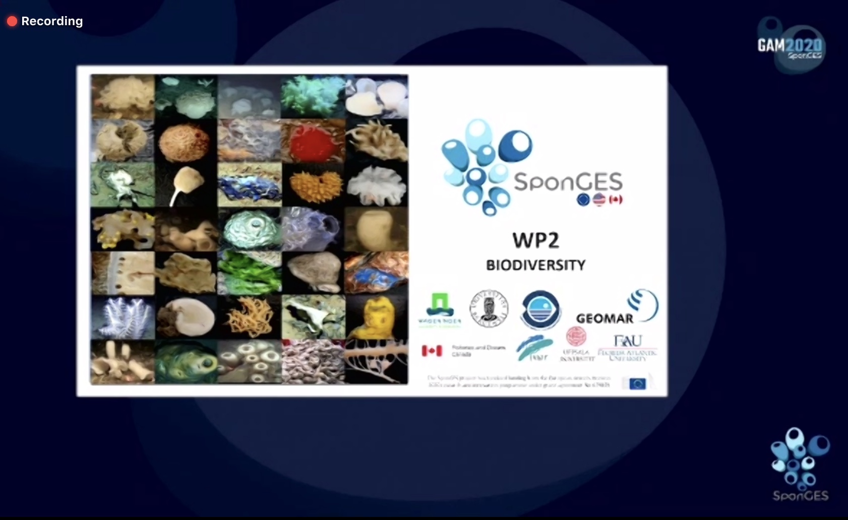 Slide from SponGES WP2 at final meeting