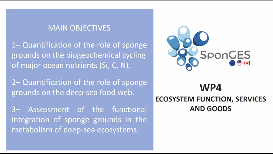 Slide from SponGES WP4 at final meeting