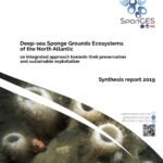 SponGES synthesis report 2019